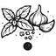Black and white illustration of garlic bulbs and leaves on a white background