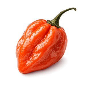 Habanero